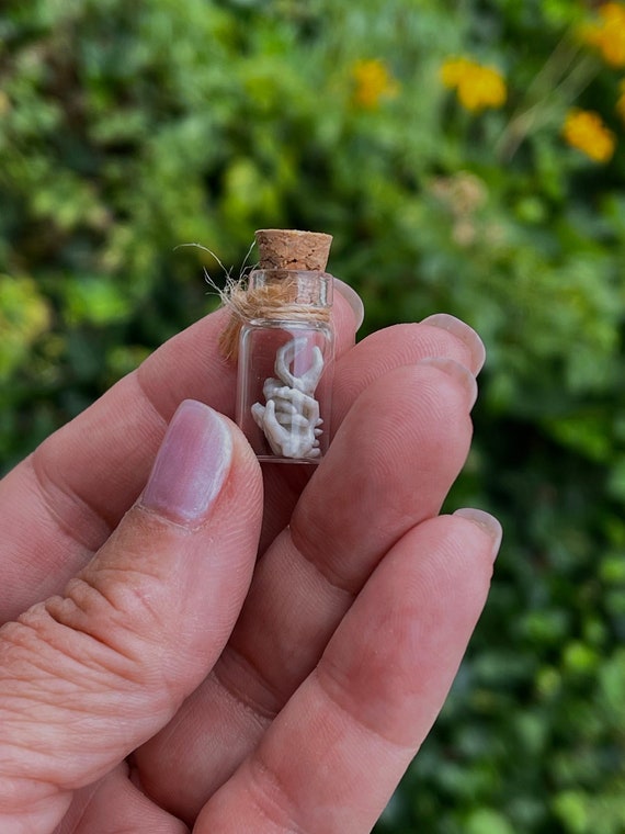 Tiny Skeleton Hands in Glass Bottle, Miniature Bottle With Cork