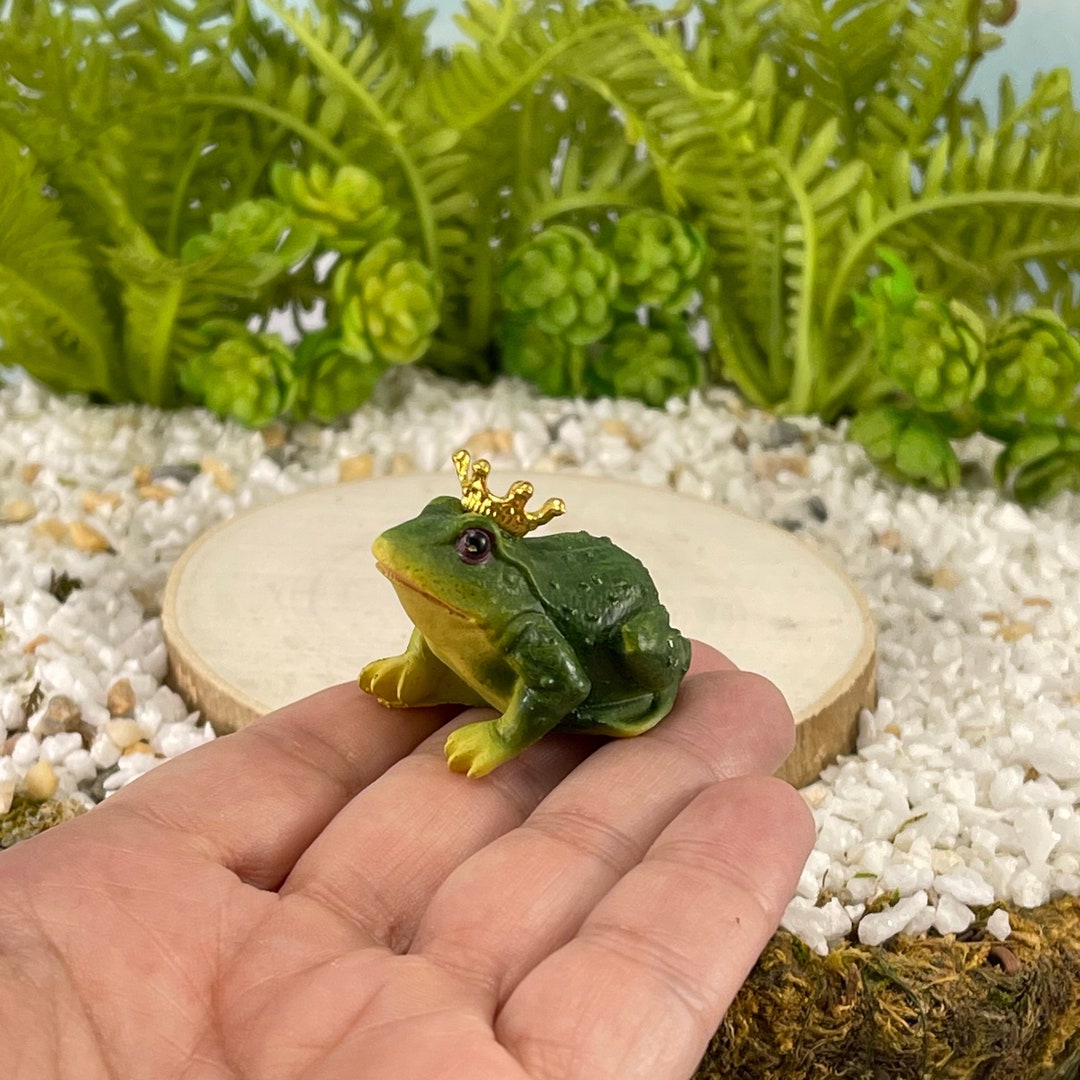 ONE Miniature Frog Prince, Fairy Garden Supply, Miniature Toad
