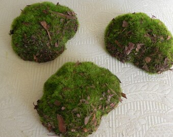 LJY 12 Pieces Assorted Sized Artificial Moss Rocks Decorative Faux Stones  for Floral Arrangements, Fairy Gardens, Terrariums and Crafting - LJY  Technology Inc Official Website