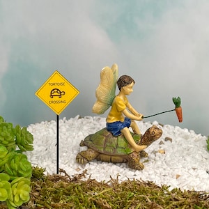 Miniature Tortoise, Fairy Garden Accessory, Miniature Turtle, Fairy Garden Accessories, Boy Fairy with Carrot on a Stick, Miniature Sign