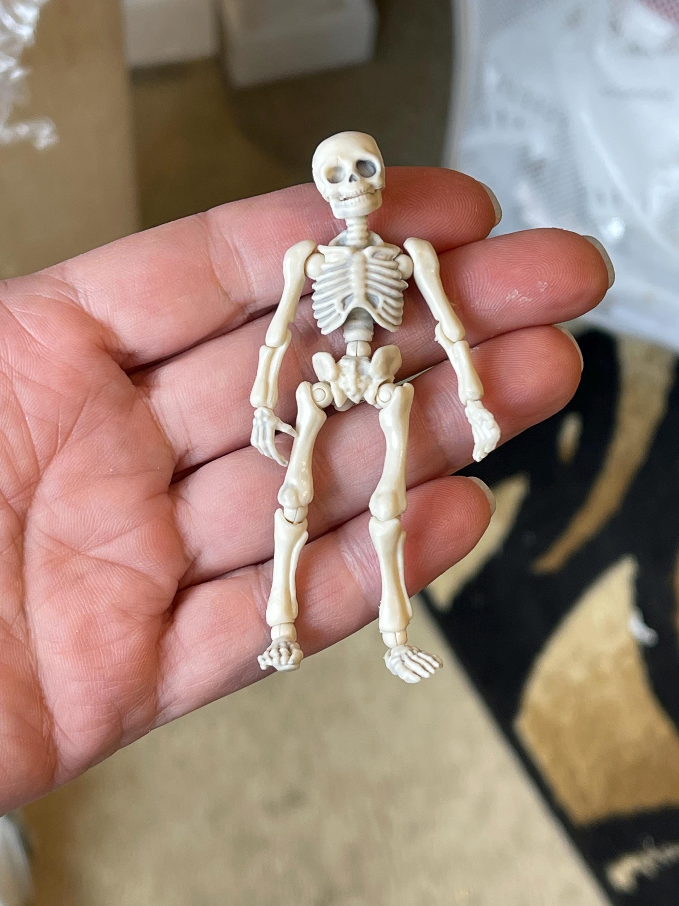 Miniature Skeleton, Poseable Skeleton, Wood Slice, Halloween