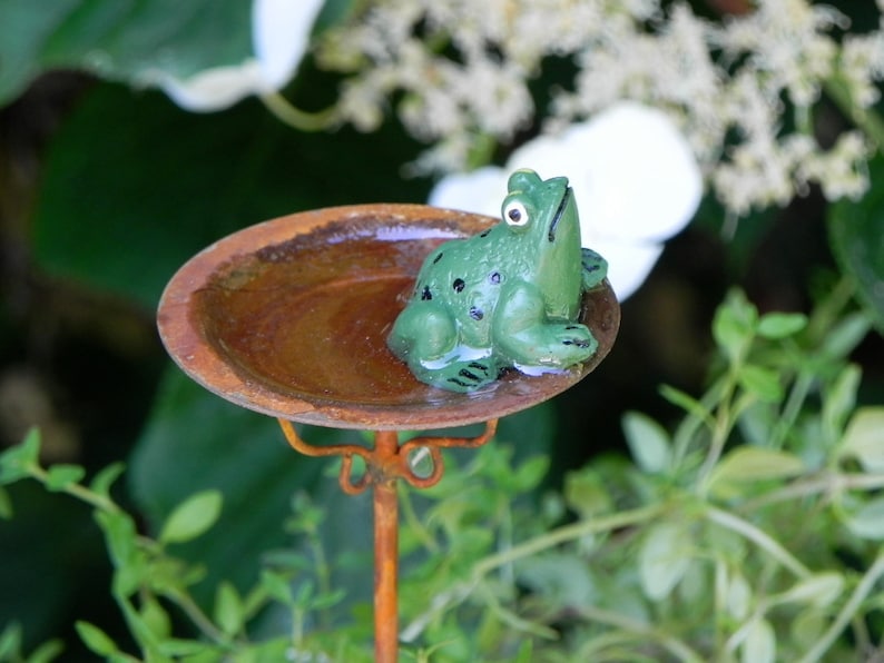May include: A small, green frog figurine with black spots sits in a rusty brown bird bath. The bird bath is supported by a decorative, orange metal stand. The background features green foliage and white flowers.