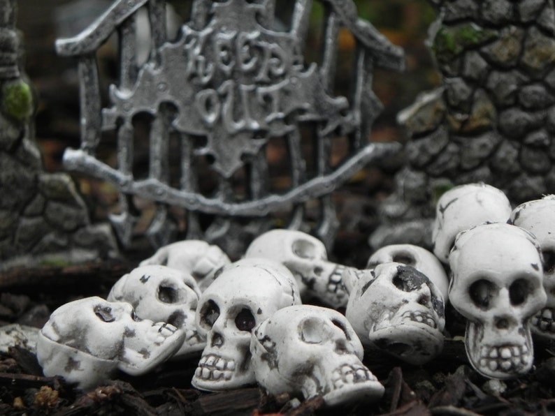 Miniature Skulls Fairy Garden accessories terrarium Halloween supplies craft supply miniature skeleton skull bead dollhouse outdoor image 4