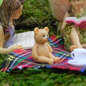 May include: A miniature scene featuring fairy figurines and a small teddy bear on a colorful plaid blanket. The fairies are reading books, and a white teacup sits nearby. The scene is set on a bed of green moss.