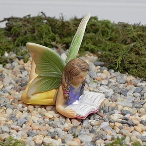 May include: A miniature fairy figurine with green and yellow wings, reading a book. The fairy is wearing a purple top and has brown hair. The figurine is set on a bed of small stones and moss.