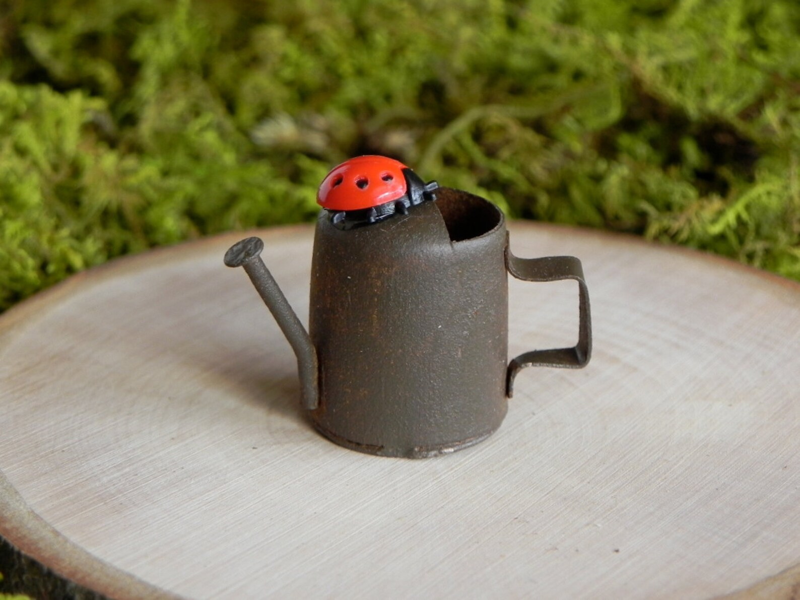 ONE Fairy Garden Miniature Watering Can With Choice of Etsy