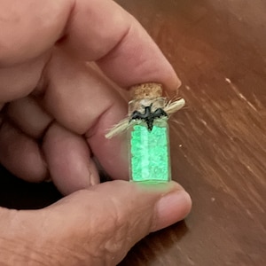 May include: A small glass bottle filled with green glitter and topped with a cork and a black bat charm. The bottle is tied with twine and has a rustic look.