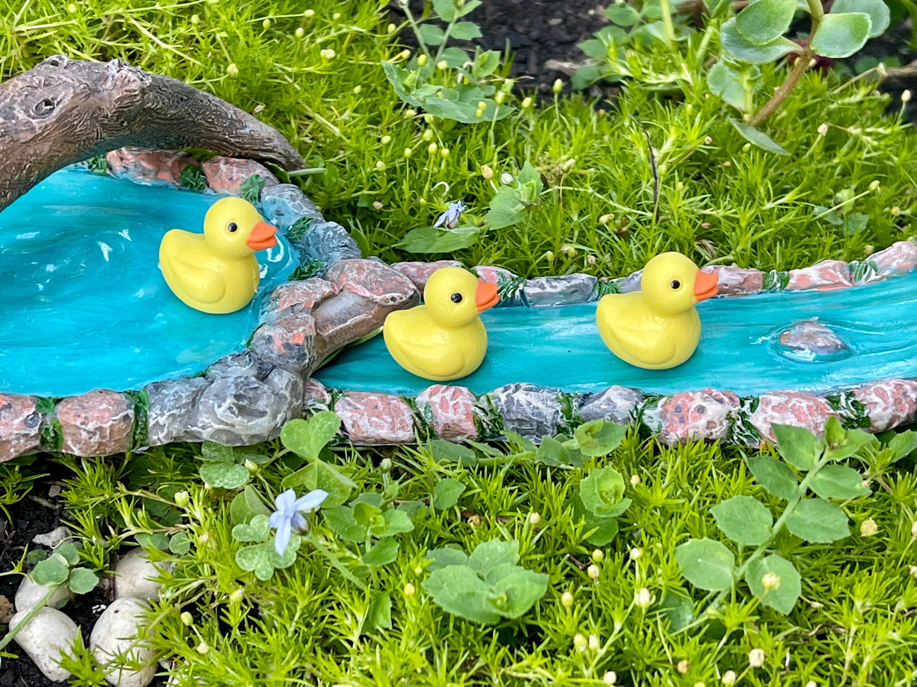 Miniature Rubber Ducks, Hobby Lobby