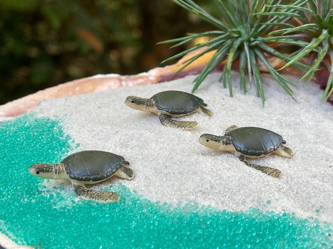 Mini Turtles with Sea Salt - Lambs Farm