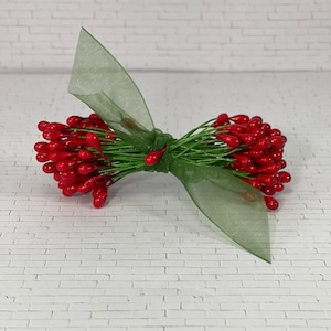 May include: A bunch of red berry sprigs tied together with a green ribbon. The berries are small and round, and the sprigs are green and have a wire core.