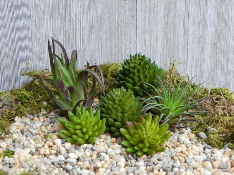 FAIRY NOT INCLUDED Artificial Succulent Plants Set of 6 fairy garden beach terrarium diy small faux fake plants