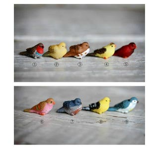 Fairy Garden Bird, miniature bird, fairy garden accessories, terrarium miniature, fairy garden miniatures, miniature birds, craft supply ONE