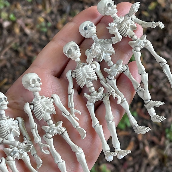 Miniature Skeleton Poseable Skeleton Wood Slice Halloween Miniatures Diorama Haunted Spooky Dollhouse Miniature Jointed Figurine Small Etsy UK