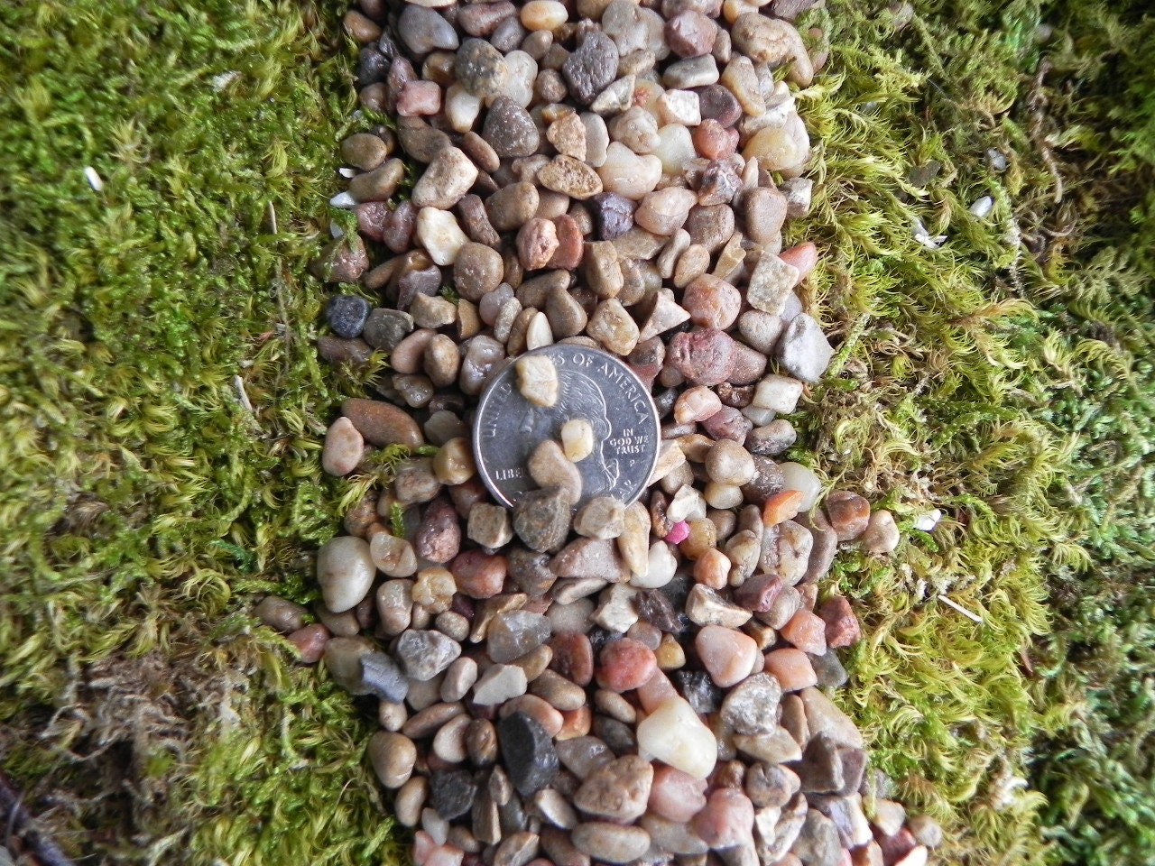 Fairy Garden Stones- 100 Flat Rocks- 1 to 5 inch- 2.5 to 12.5 cm
