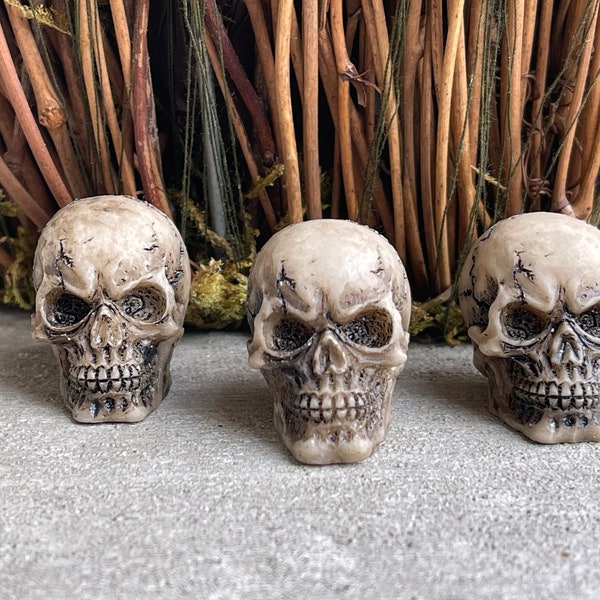 Miniature Skull, mini skulls, Fairy Garden accessories, terrarium supplies, Halloween Miniatures, Halloween mini garden