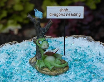 Miniature Dragon Reading Book, Scaley, fairy garden supply, fairy garden sign, shhh...dragons reading, fairy garden accessories, mini garden