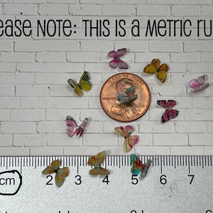 May include: A close-up of a ruler with a penny and several colorful butterfly charms. The ruler is marked in centimeters. The text "PLEASE NOTE: THIS IS a Metric ruler" is visible at the top of the image.