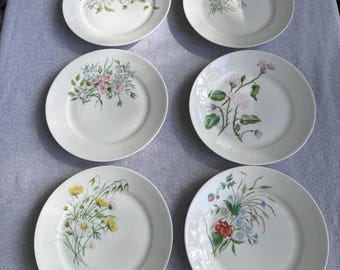 Haviland Limoges Blumenteller – Antikes französisches Porzellan