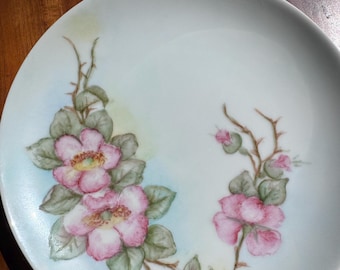 Antieke Thomas Sevres Bavaria handgeschilderde roze theeroos kastplaat