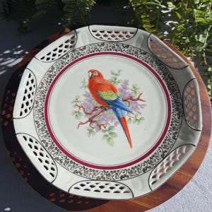 May include: A white porcelain plate featuring a central illustration of a red, green, and blue parrot perched on a branch with purple flowers. The plate has a decorative border with a black filigree pattern, a red ring, and a lattice-cut edge.