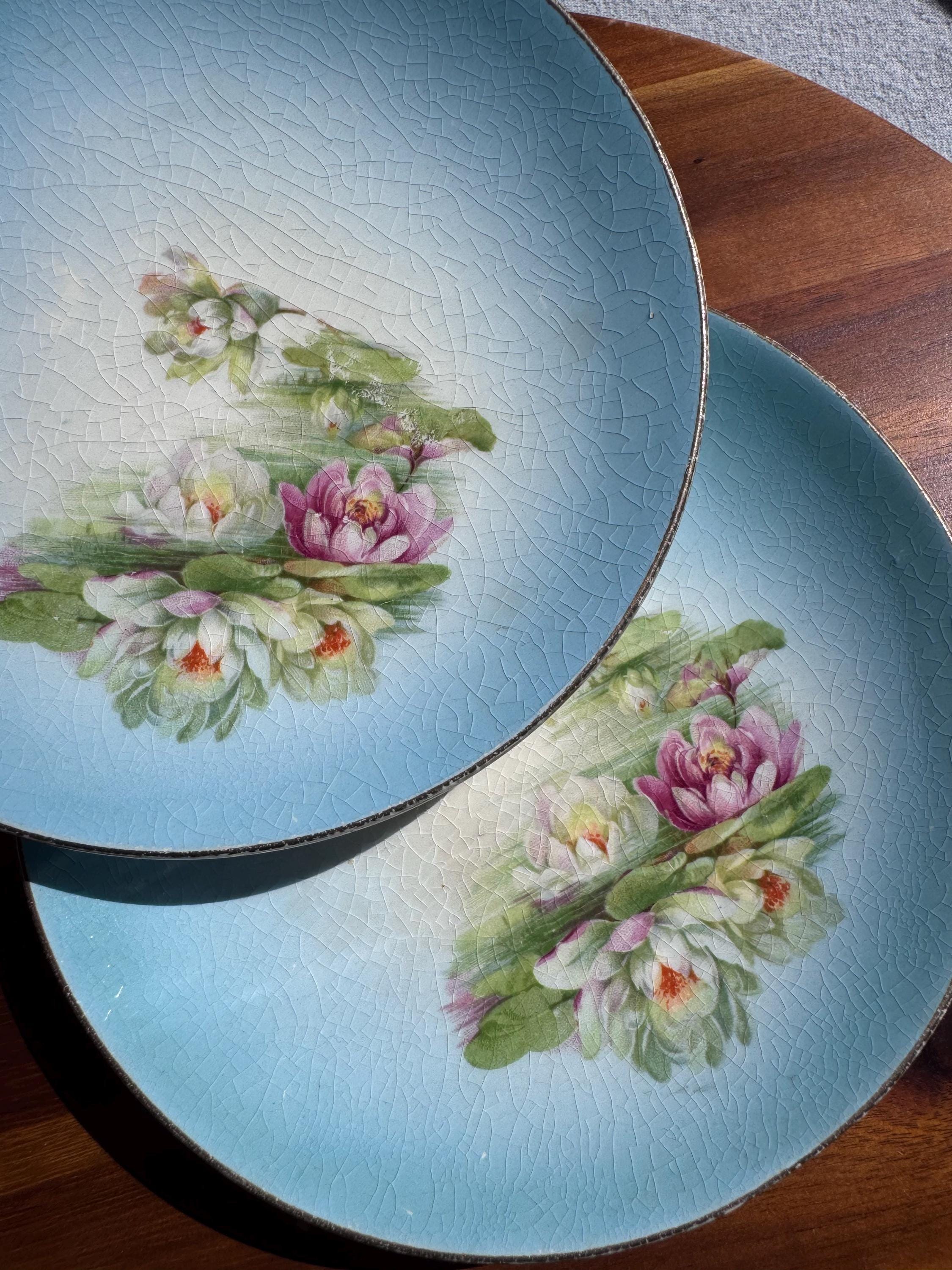 German Hand Painted Plates - Etsy