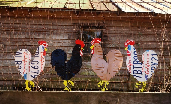 jersey giant rooster