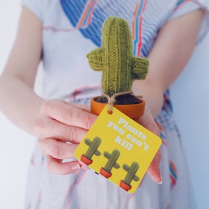 Mini knitted cactus