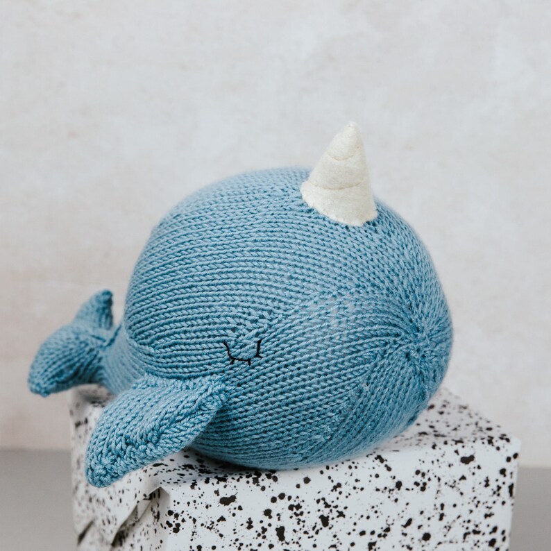 Andy Narwhal image 5