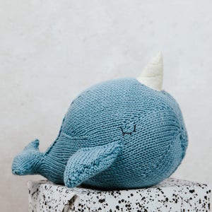 Andy Narwhal image 3