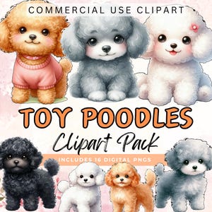 Pacote de clipart de filhotes de POODLE DE BRINQUEDO fofos. Diário de lixo de cães de estimação, cartão, fazendo coisas efêmeras, imagens PNG transparentes de 300 dpi, uso comercial, clipart