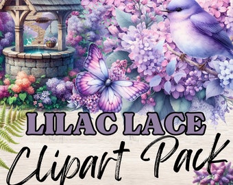 Clipart DENTELLE LILAS. Journal indésirable. Fleurs florales, papillons, libellule, oiseaux 300 dpi images PNG transparentes usage commercial Clip Art