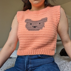 Teddy Sweater Vest Crochet Pattern