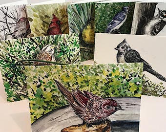 Backyard Birds Notecard Series