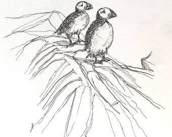 Puffin Couple, Pen and Ink drawinf