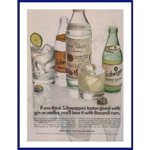 May include: A vintage print advertisement for Bacardi rum featuring four bottles of alcohol and two glasses with ice and lime wedges. The text reads "If you think Schweppes tastes good with gin or vodka, you'll love it with Bacardi rum. Bacardi rum. The mixable one."