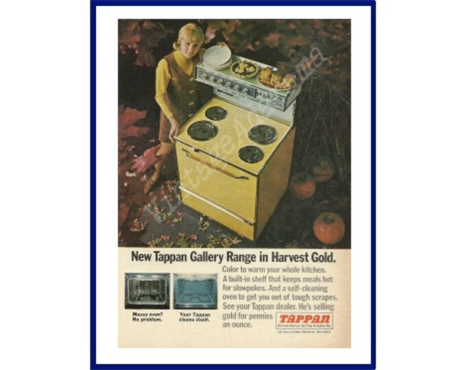 TAPPAN GALLERY RANGE Original 1968 Vintage Color Print Ad Selfcleaning