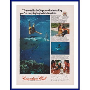 CANADIAN CLUB WHISKY Original 1972 Vintage Color Print Advertisement "Trate de decirle a una manta raya de 2000 libras que solo está tratando de engancharse a un viaje"
