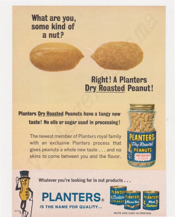 Are Dogs Allowed Dry Roasted Peanuts