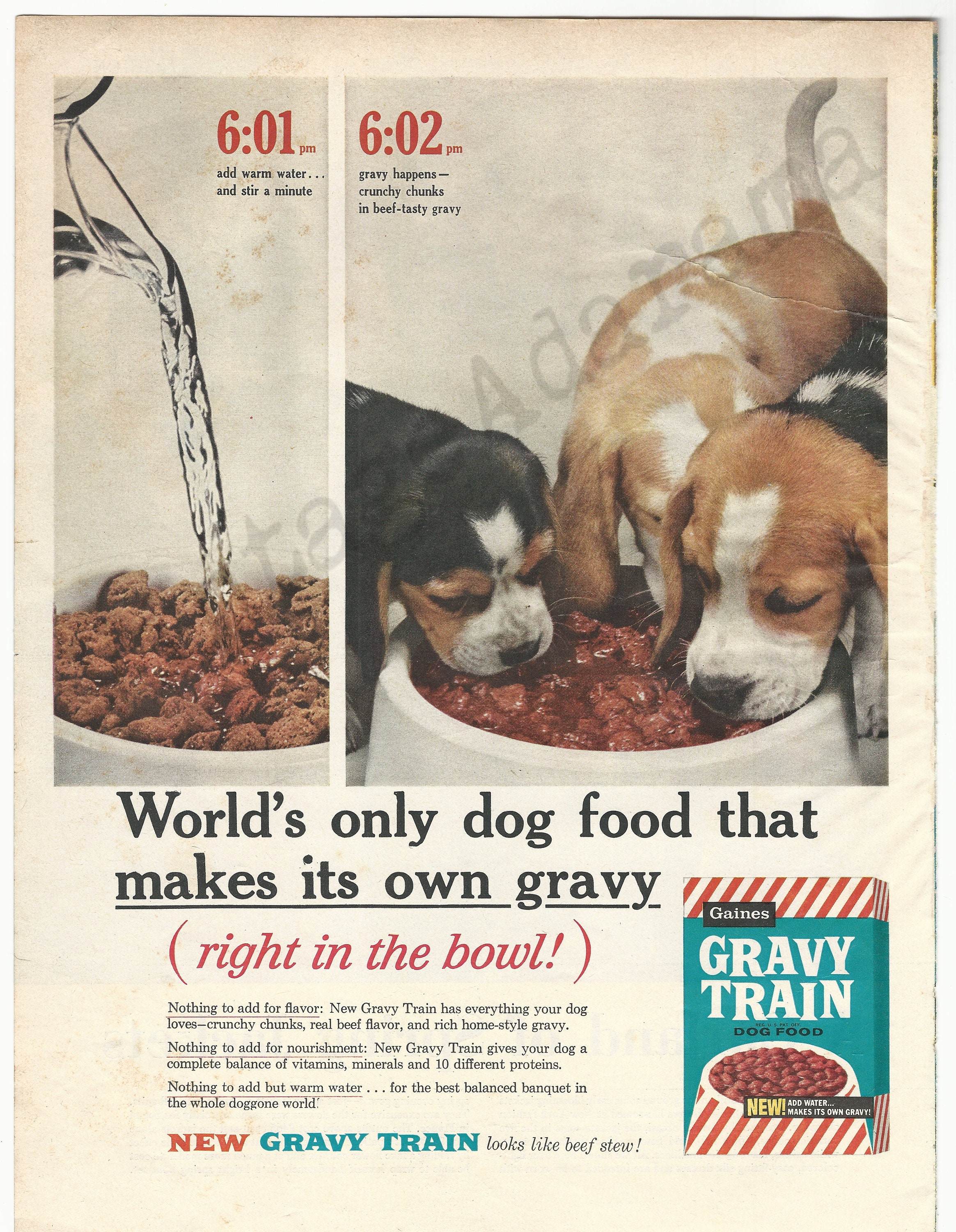 Gravy train hotsell dog food