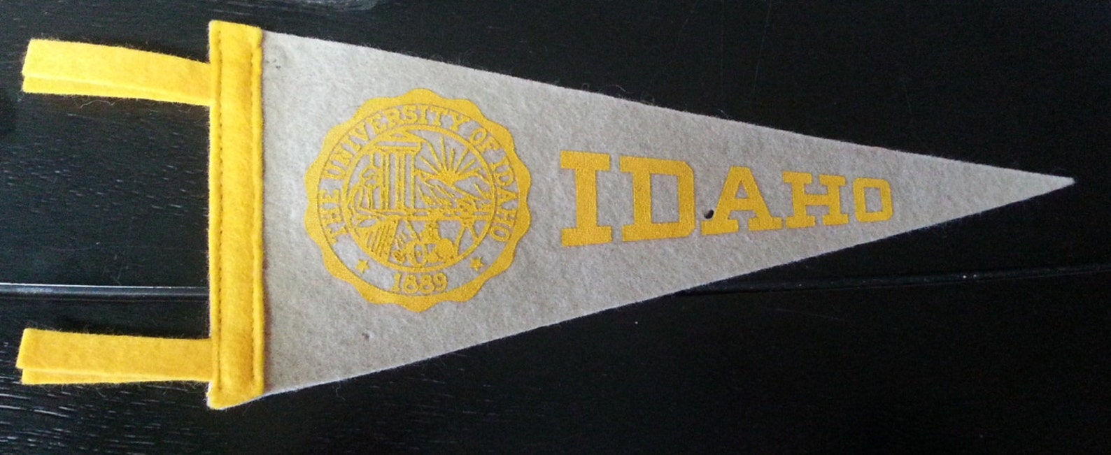 Felt Pennants Two Vintage Felt Pennants , Torjans of Owosso, and the