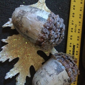 Oversized acorns and white glittered leaf