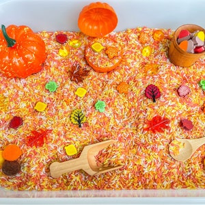 Fall Sensory Bin, Fall Sensory, Taste Safe, Montessori