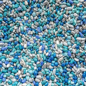 Puede incluir: Primer plano de una variedad de granas azules, verde azuladas y plateadas. Las granas son pequeñas y de forma ovalada.