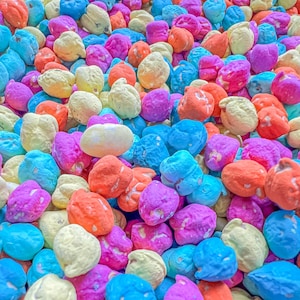 Summer Sensory Filler #2, Sensory Bin Filler, Summer Themed Chick Peas, Dinosaur Sensory Play, Bright Sensory Bin Filler, Montessori