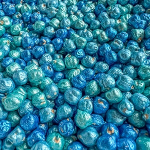 Ocean Sensory Filler, Sensory Bin Filler, Colored Peas, Ocean Sensory Play, Bright Sensory Bin Filler, Montessori