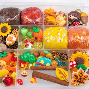 May include: A clear plastic organizer box filled with autumn-themed sensory play items including brown and red glitter slime, yellow dough, cinnamon sticks, and various resin charms like sunflowers, pumpkins, mushrooms, leaves, and a camper.