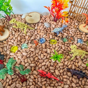 Caixa sensorial de dinossauro nº 2, sensorial de dinossauro, sabor seguro, Montessori