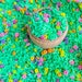 Spring Sensory Rice With Flowers, Sensory Bin Filler, Colored Rice ...