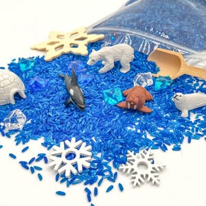 May include: A sensory bin with blue rice, toy animals, and decorative elements. Includes a white polar bear, a black and white orca, a brown walrus, a white seal, a white igloo, and snowflake shapes. Also includes clear, blue, and wooden accents.