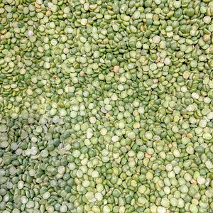 Green Peas, Sensory Bin Filler, Sensory Play, Bright Sensory Bin Filler, Montessori